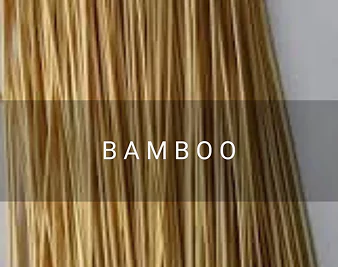 Bamboo